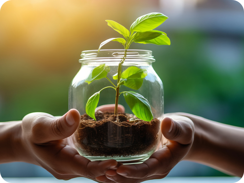 We empower businesses to become more sustainable