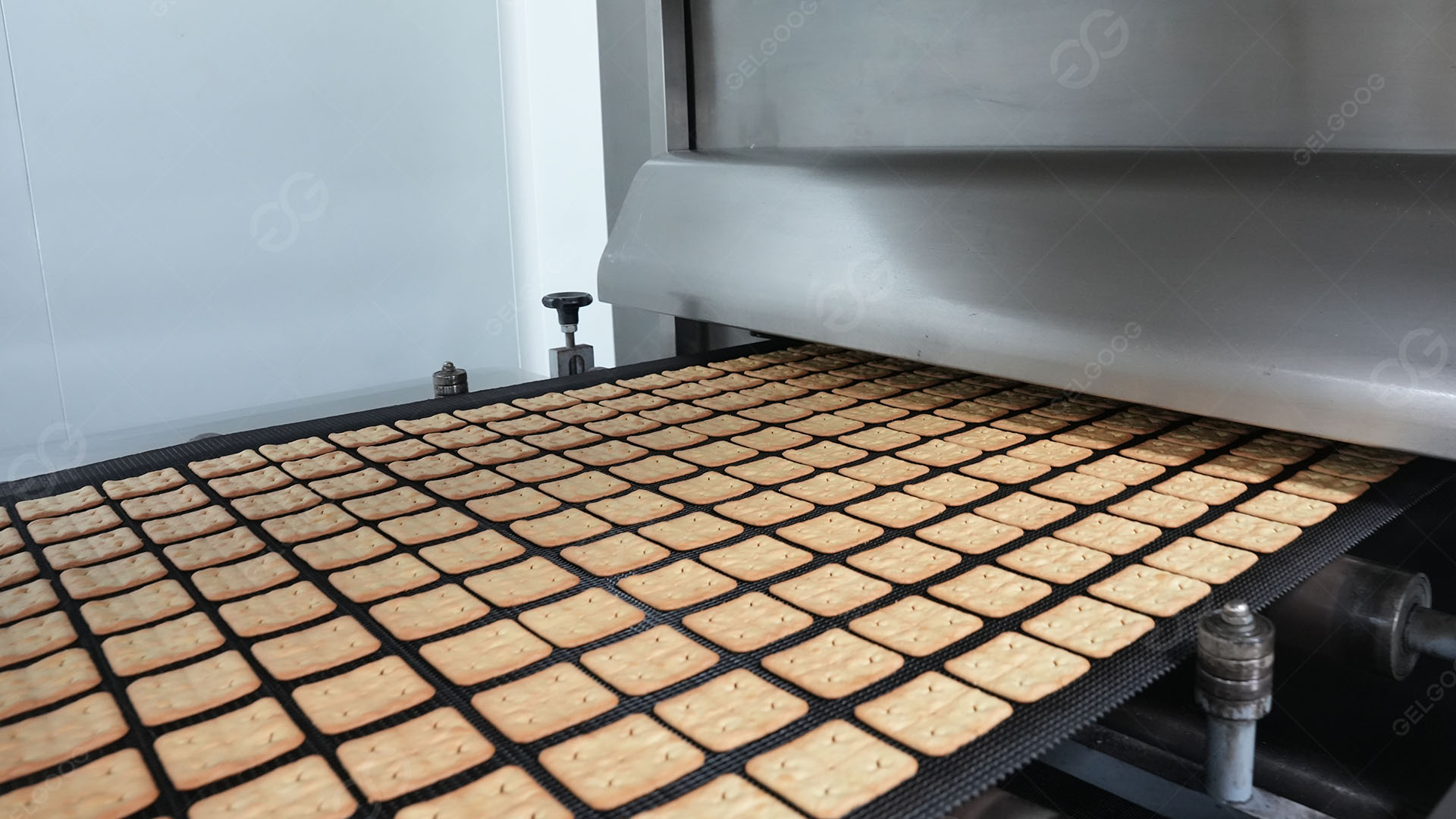 Linha Automática de Produção de Biscoitos