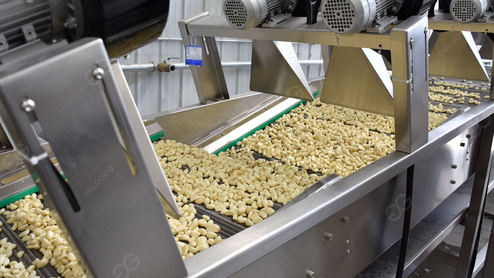 Linha de produção automática de batatas fritas congeladas