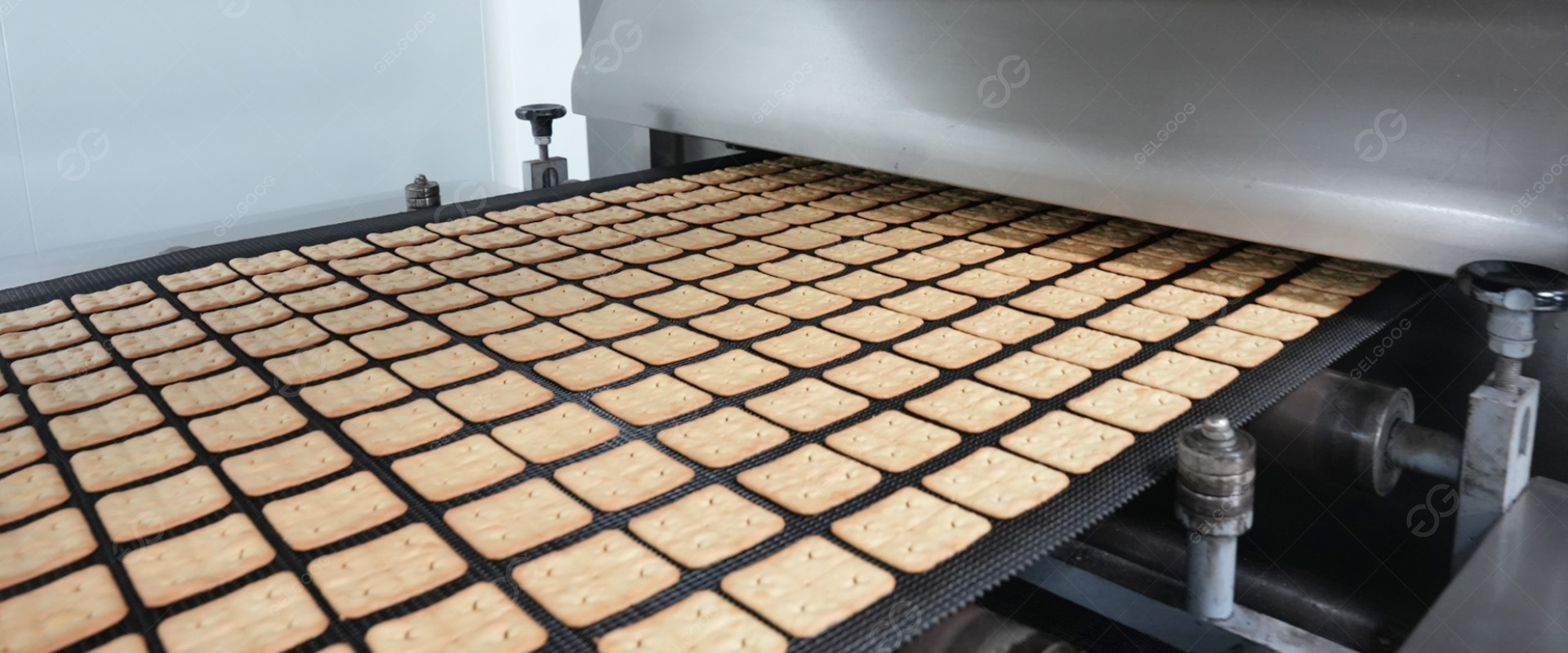 Linha Automática de Produção de Biscoitos