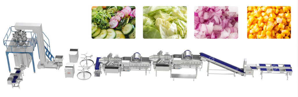 Linha de Processamento de Salada de Vegetais