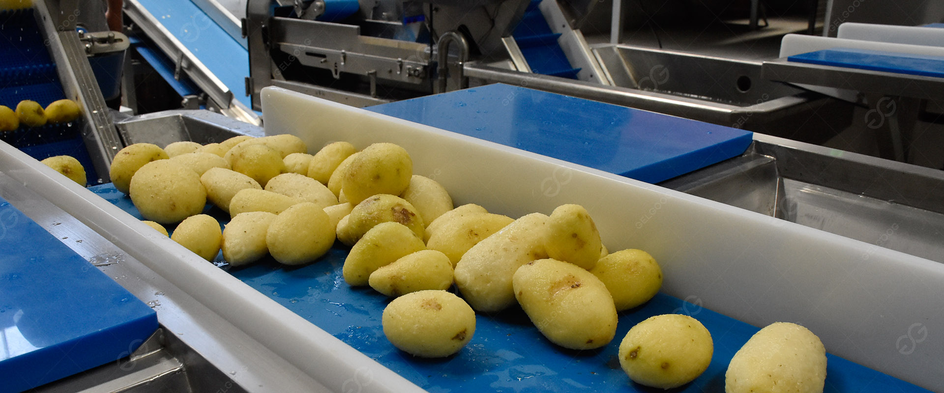 Processamento de frutas e vegetais